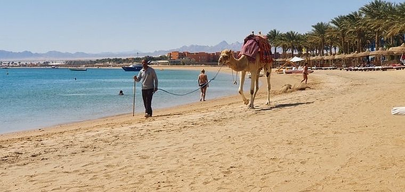 Sandy beach with camels and visitors by the sea, landscape photography