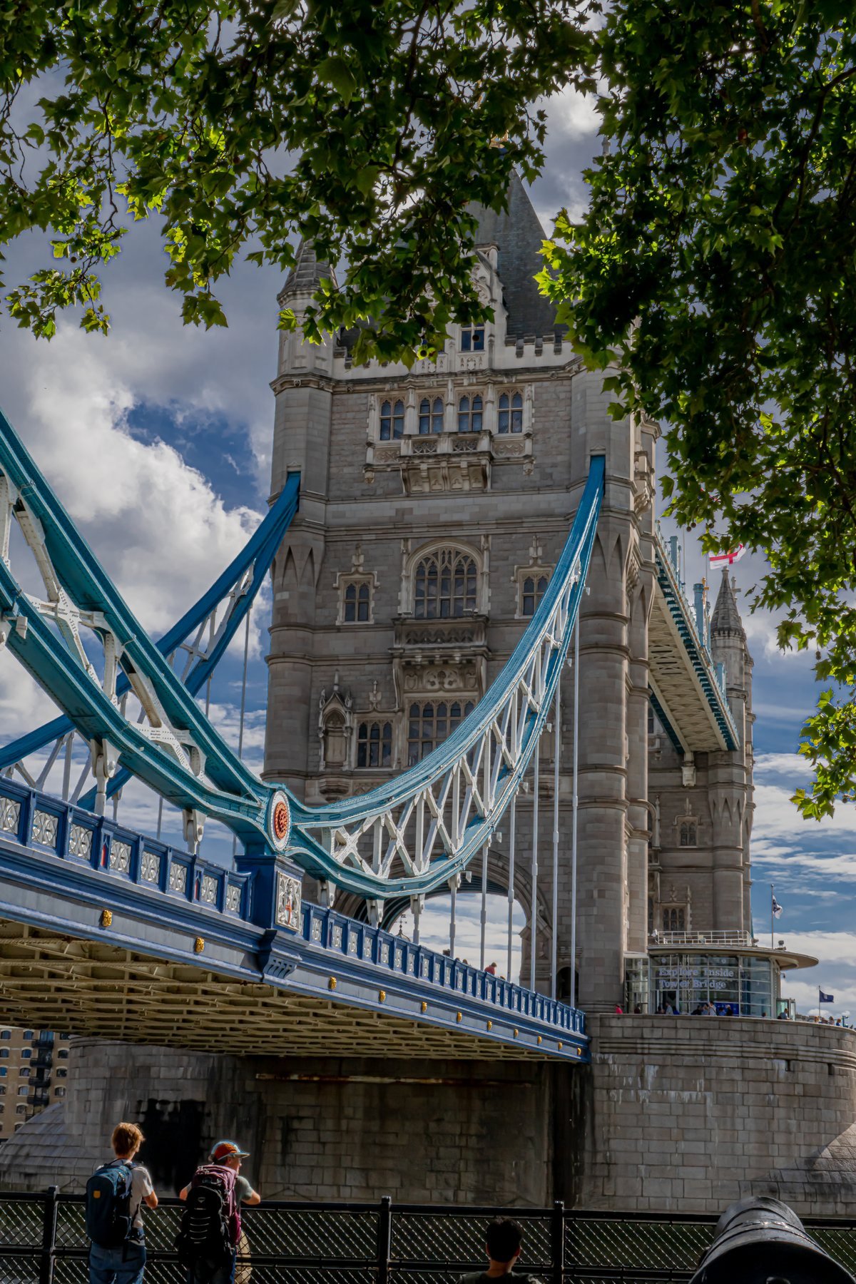 Tower Bridge viewed from below through tree branches, architecture photography, London
